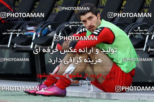 745886, Tehran, , Final جام حذفی فوتبال ایران, , Persepolis 2 v 2 Sepahan on 2013/05/05 at Azadi Stadium