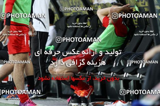 745727, Tehran, , Final جام حذفی فوتبال ایران, , Persepolis 2 v 2 Sepahan on 2013/05/05 at Azadi Stadium
