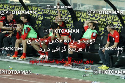 745600, Tehran, , Final جام حذفی فوتبال ایران, , Persepolis 2 v 2 Sepahan on 2013/05/05 at Azadi Stadium