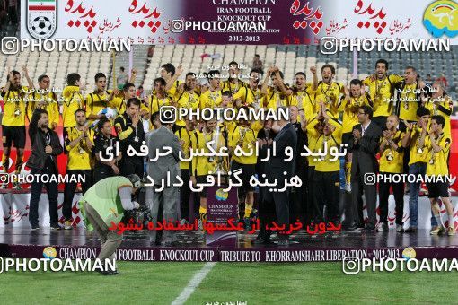 745159, Tehran, , Final جام حذفی فوتبال ایران, , Persepolis 2 v 2 Sepahan on 2013/05/05 at Azadi Stadium