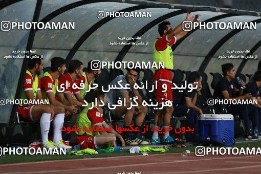 802343, Tehran, [*parameter:4*], لیگ برتر فوتبال ایران، Persian Gulf Cup، Week 5، First Leg، Esteghlal 0 v 2 Padideh Mashhad on 2017/08/22 at Azadi Stadium