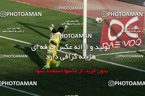 798133, Tehran, [*parameter:4*], لیگ برتر فوتبال ایران، Persian Gulf Cup، Week 5، First Leg، Esteghlal 0 v 2 Padideh Mashhad on 2017/08/22 at Azadi Stadium