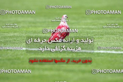 799274, Tehran, [*parameter:4*], لیگ برتر فوتبال ایران، Persian Gulf Cup، Week 34، Second Leg، Persepolis 2 v 1 Sepahan on 2008/05/17 at Azadi Stadium