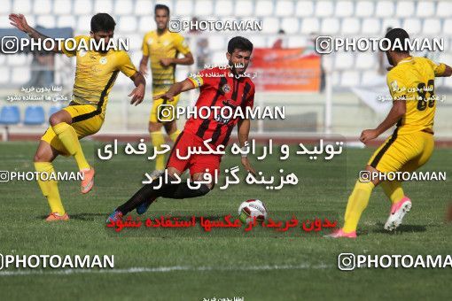 805751, Shiraz, , جام حذفی فوتبال ایران, 1/32 stage, Khorramshahr Cup, Fajr-e Sepasi Shiraz 1 v 0 Qashqaei Shiraz on 2017/08/21 at Hafezieh Stadium
