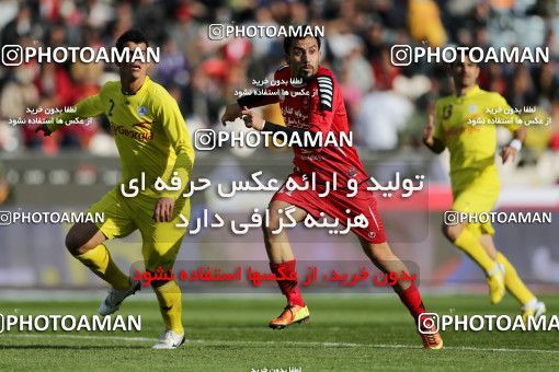 838679, Tehran, [*parameter:4*], لیگ برتر فوتبال ایران، Persian Gulf Cup، Week 25، Second Leg، Naft Tehran 1 v 1 Persepolis on 2013/02/09 at Azadi Stadium