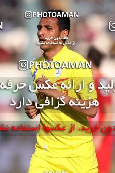 838991, Tehran, [*parameter:4*], لیگ برتر فوتبال ایران، Persian Gulf Cup، Week 25، Second Leg، Naft Tehran 1 v 1 Persepolis on 2013/02/09 at Azadi Stadium