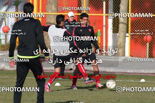 839742, Tehran, , Persepolis Football Team Training Session on 2013/01/26 at Derafshifar Stadium