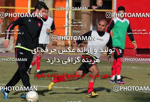 839728, Tehran, , Persepolis Football Team Training Session on 2013/01/26 at Derafshifar Stadium