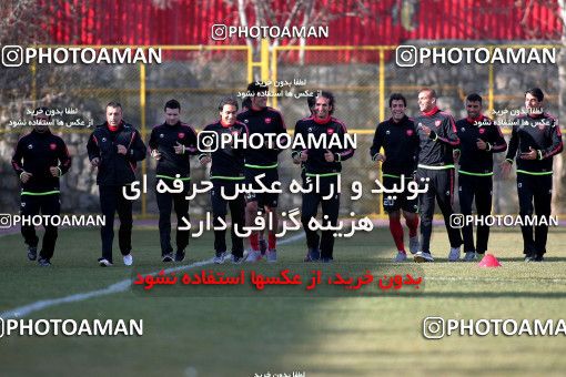 839735, Tehran, , Persepolis Football Team Training Session on 2013/01/26 at Derafshifar Stadium