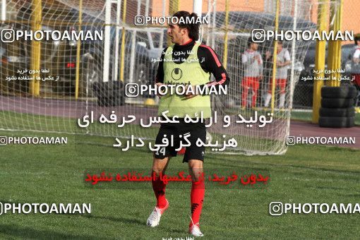843329, Tehran, , Persepolis Football Team Training Session on 2013/02/19 at Derafshifar Stadium