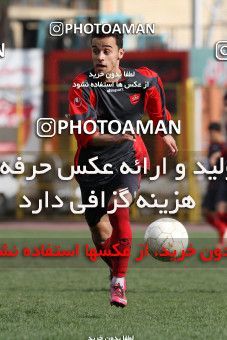 860833, Tehran, , Persepolis Football Team Training Session on 2013/03/11 at Derafshifar Stadium
