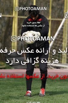 860832, Tehran, , Persepolis Football Team Training Session on 2013/03/11 at Derafshifar Stadium