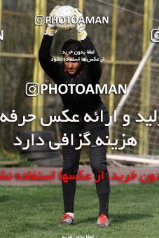 860889, Tehran, , Persepolis Football Team Training Session on 2013/03/11 at Derafshifar Stadium