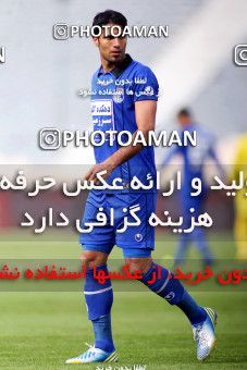 861357, Tehran, [*parameter:4*], لیگ برتر فوتبال ایران، Persian Gulf Cup، Week 30، Second Leg، Naft Tehran 1 v 1 Esteghlal on 2013/03/18 at Azadi Stadium
