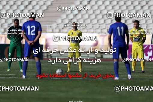 863420, Tehran, [*parameter:4*], لیگ برتر فوتبال ایران، Persian Gulf Cup، Week 32، Second Leg، Naft Tehran 2 v 0 Damash Gilan on 2013/04/12 at Shahid Dastgerdi Stadium