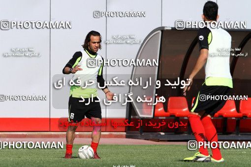 865658, Tehran, , Persepolis Football Team Training Session on 2013/04/27 at Derafshifar Stadium