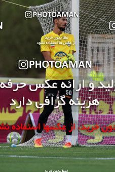 877747, Tehran, [*parameter:4*], لیگ برتر فوتبال ایران، Persian Gulf Cup، Week 8، First Leg، Naft Tehran 1 v 0 Sepahan on 2017/09/26 at Takhti Stadium