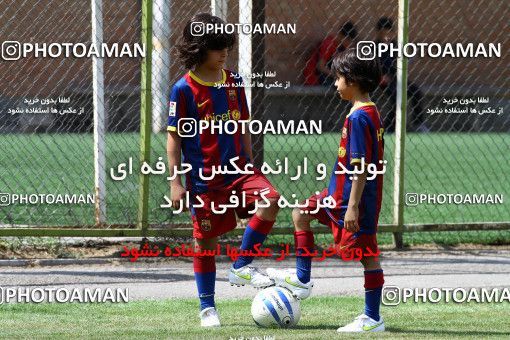 884546, جلسه تمرینی تیم فوتبال پرسپولیس, 1390/04/21, , تهران, ورزشگاه شهید درفشی فر