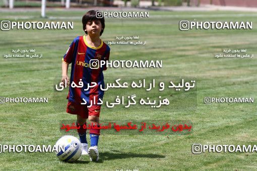 884607, Tehran, , Persepolis Football Team Training Session on 2011/07/12 at Derafshifar Stadium
