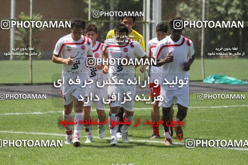 885353, Tehran, , Persepolis Football Team Training Session on 2011/07/29 at Derafshifar Stadium