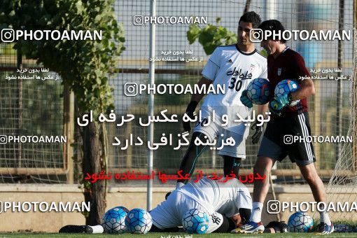 885958, Tehran, , Iran National Football Team Training Session on 2017/10/02 at Research Institute of Petroleum Industry
