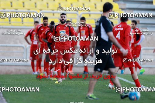 905246, Tehran, , Persepolis Football Team Training Session on 2017/10/13 at Shahid Kazemi Stadium