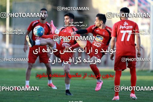 904882, Tehran, , Persepolis Football Team Training Session on 2017/10/13 at Shahid Kazemi Stadium