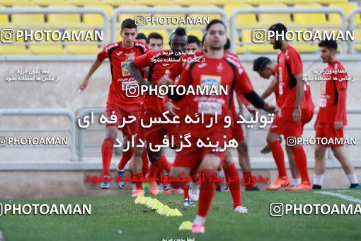 905108, Tehran, , Persepolis Football Team Training Session on 2017/10/13 at Shahid Kazemi Stadium
