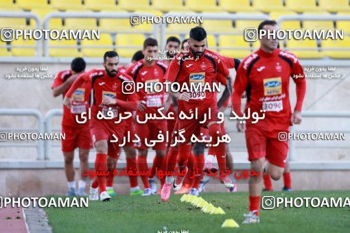904927, Tehran, , Persepolis Football Team Training Session on 2017/10/13 at Shahid Kazemi Stadium