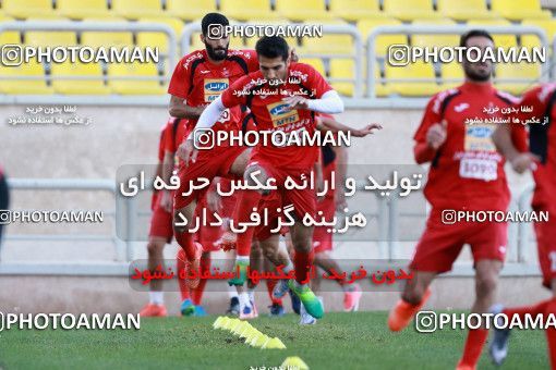 905073, Tehran, , Persepolis Football Team Training Session on 2017/10/13 at Shahid Kazemi Stadium