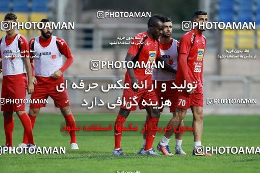 904948, Tehran, , Persepolis Football Team Training Session on 2017/10/13 at Shahid Kazemi Stadium