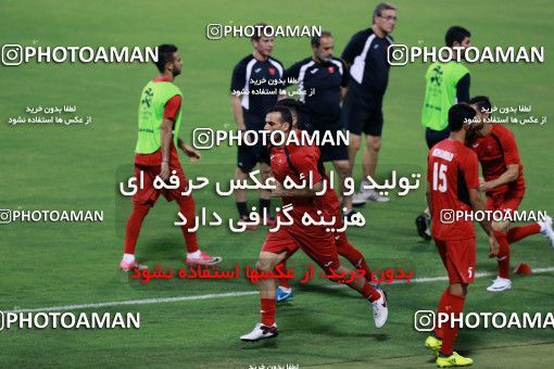 916292, Muscat, , AFC Champions League 2017, Persepolis Football Team Training Session on 2017/10/16 at ورزشگاه سلطان قابوس