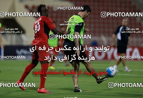916236, Muscat, , AFC Champions League 2017, Persepolis Football Team Training Session on 2017/10/16 at ورزشگاه سلطان قابوس