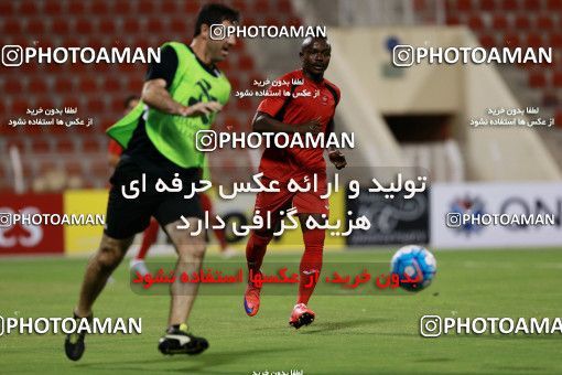 916268, Muscat, , AFC Champions League 2017, Persepolis Football Team Training Session on 2017/10/16 at ورزشگاه سلطان قابوس