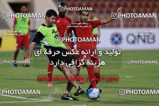 916230, Muscat, , AFC Champions League 2017, Persepolis Football Team Training Session on 2017/10/16 at ورزشگاه سلطان قابوس