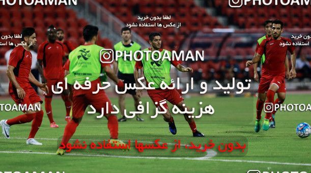 916246, Muscat, , AFC Champions League 2017, Persepolis Football Team Training Session on 2017/10/16 at ورزشگاه سلطان قابوس