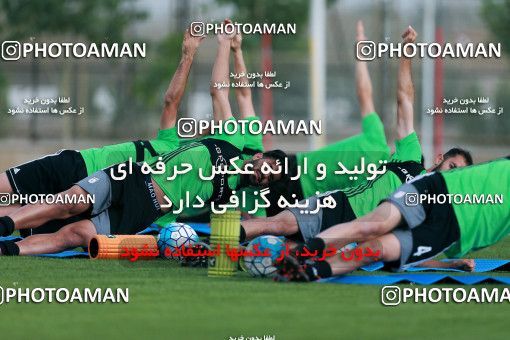 928362, Tehran, , Iran National Football Team Training Session on 2017/11/02 at Research Institute of Petroleum Industry