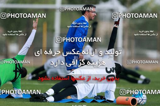 928538, Tehran, , Iran National Football Team Training Session on 2017/11/02 at Research Institute of Petroleum Industry