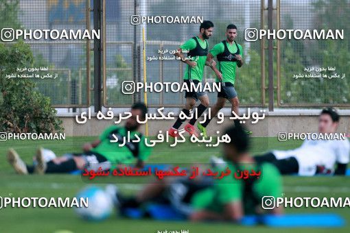 928435, Tehran, , Iran National Football Team Training Session on 2017/11/02 at Research Institute of Petroleum Industry