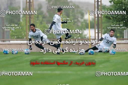 928464, Tehran, , Iran National Football Team Training Session on 2017/11/02 at Research Institute of Petroleum Industry