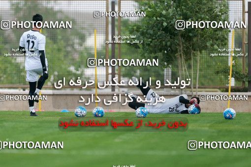 928398, Tehran, , Iran National Football Team Training Session on 2017/11/02 at Research Institute of Petroleum Industry