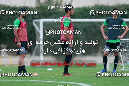 928564, Tehran, , Iran National Football Team Training Session on 2017/11/02 at Research Institute of Petroleum Industry