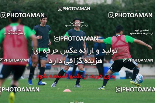 928475, Tehran, , Iran National Football Team Training Session on 2017/11/02 at Research Institute of Petroleum Industry