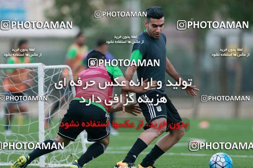 928492, Tehran, , Iran National Football Team Training Session on 2017/11/02 at Research Institute of Petroleum Industry