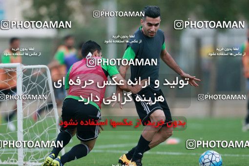 928313, Tehran, , Iran National Football Team Training Session on 2017/11/02 at Research Institute of Petroleum Industry
