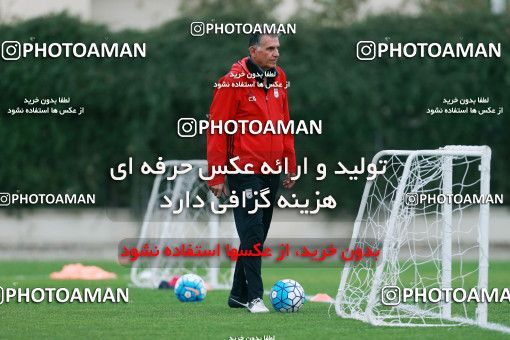 928316, Tehran, , Iran National Football Team Training Session on 2017/11/02 at Research Institute of Petroleum Industry