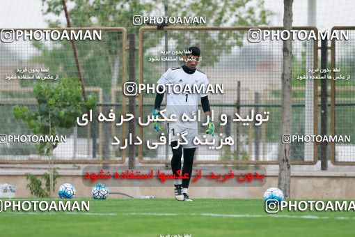 928557, Tehran, , Iran National Football Team Training Session on 2017/11/02 at Research Institute of Petroleum Industry