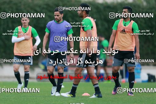 928462, Tehran, , Iran National Football Team Training Session on 2017/11/02 at Research Institute of Petroleum Industry