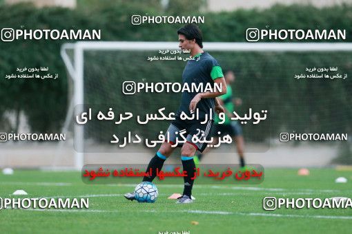928485, Tehran, , Iran National Football Team Training Session on 2017/11/02 at Research Institute of Petroleum Industry