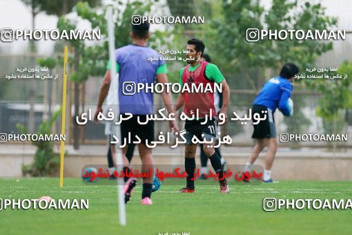 928545, Tehran, , Iran National Football Team Training Session on 2017/11/02 at Research Institute of Petroleum Industry